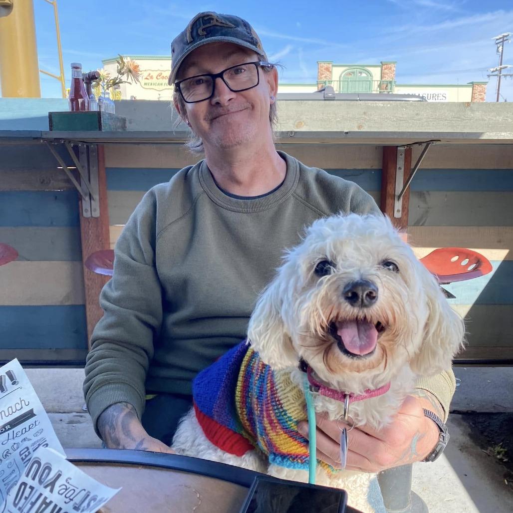 Kohala, a Adoptable Coton de Tulear in Ramona, CA image 1/6