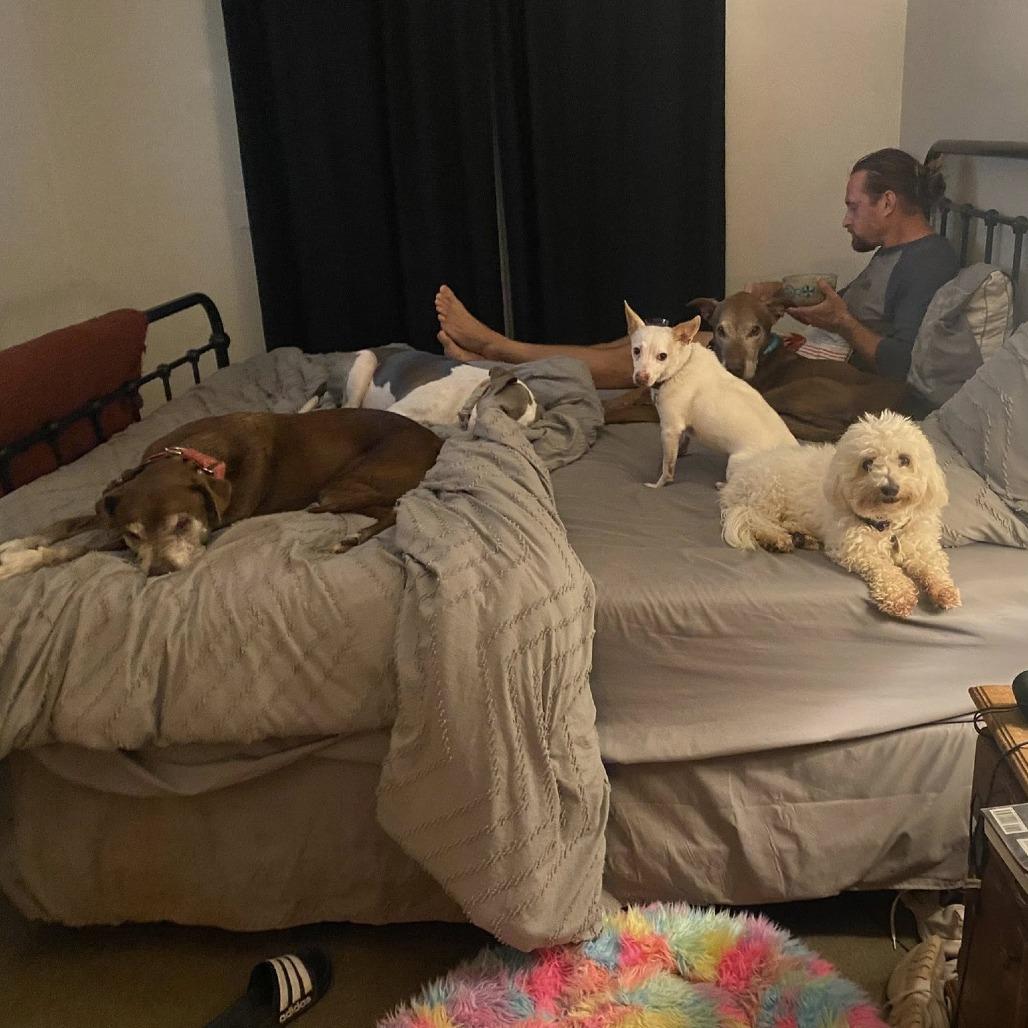 Kohala — thumbnail 2