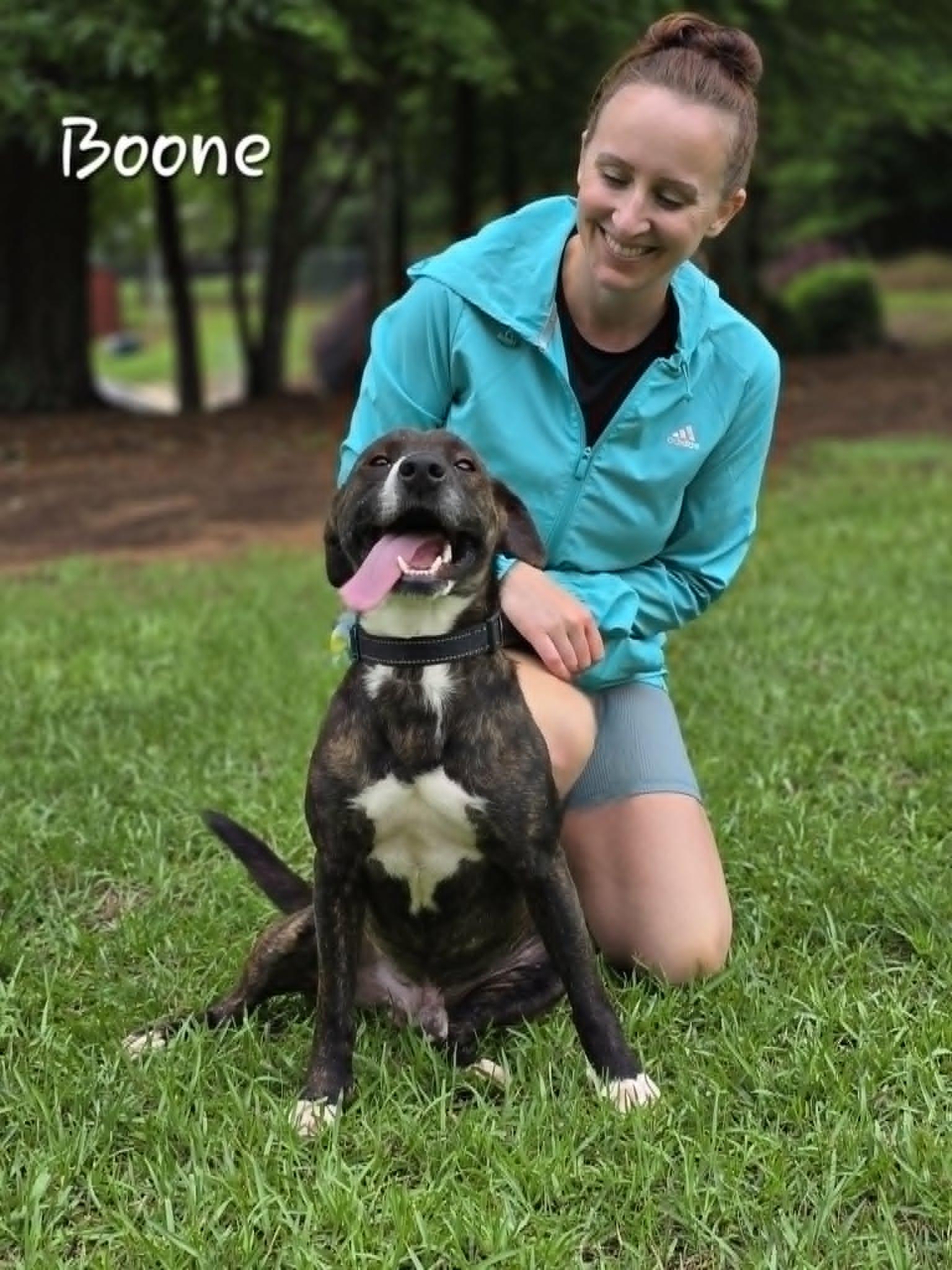 Boone, a ADOPTABLE mixed breed in Bishop, GA image 4/4