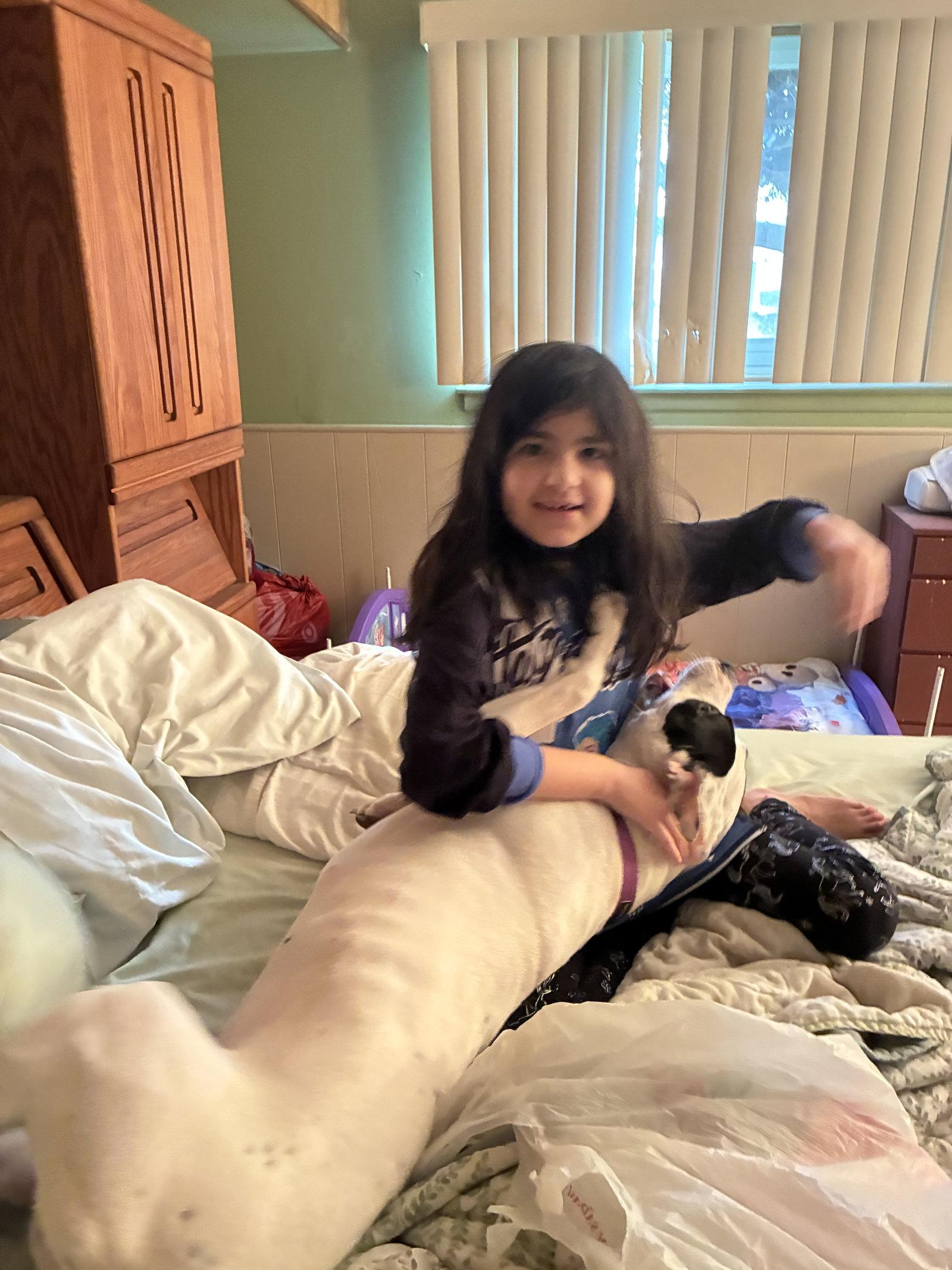 Tinklebell - Foster to Adopt Available!!, Adoptable, Adult Female Terrier.