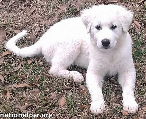 Jessa in LA - Confident & Playful!