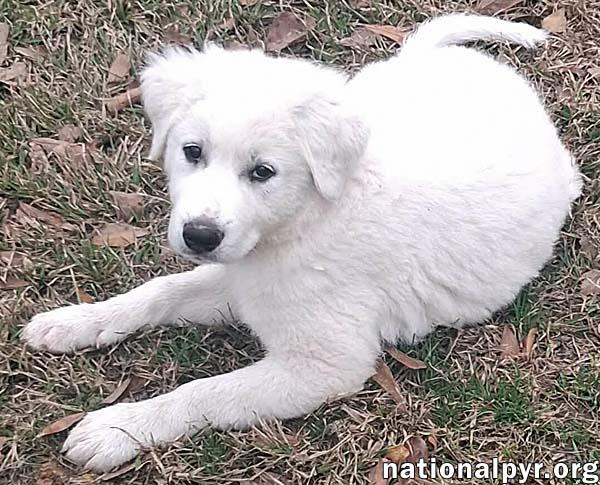 Jessa in LA - Confident & Playful! — thumbnail 3