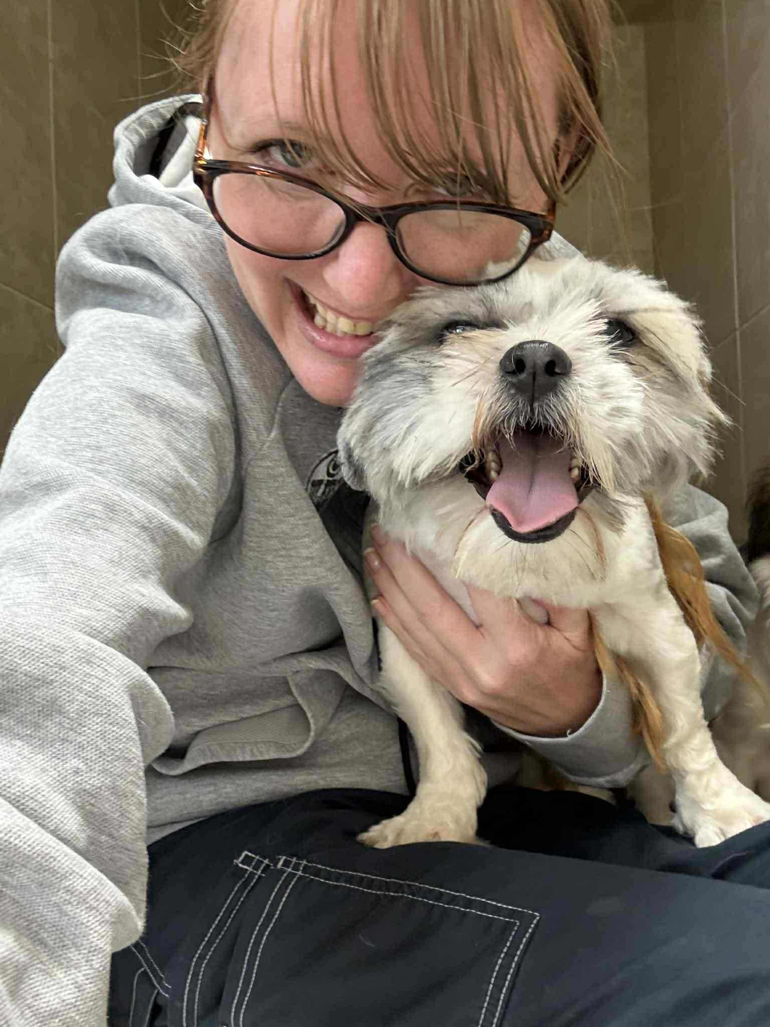 Enlarge C H A R L I E, a Adopted Shih Tzu in Abbotsford, BC image 3/5