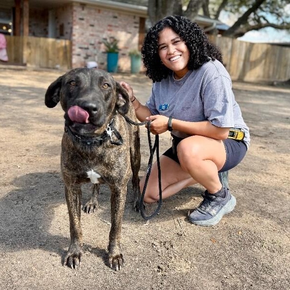 Odie Soft Hearted Gentle Giant — thumbnail 2