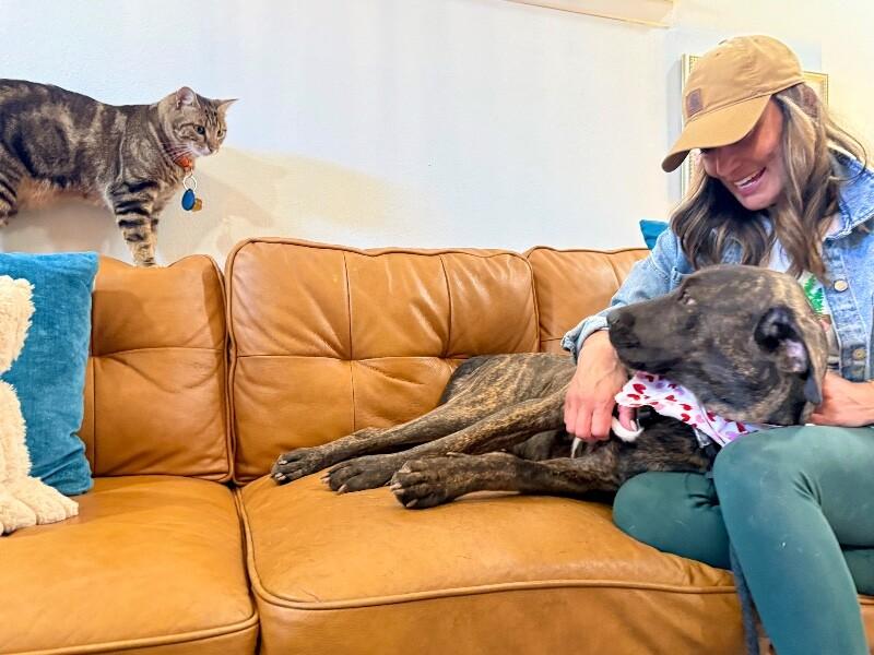 Odie Soft Hearted Gentle Giant — thumbnail 3