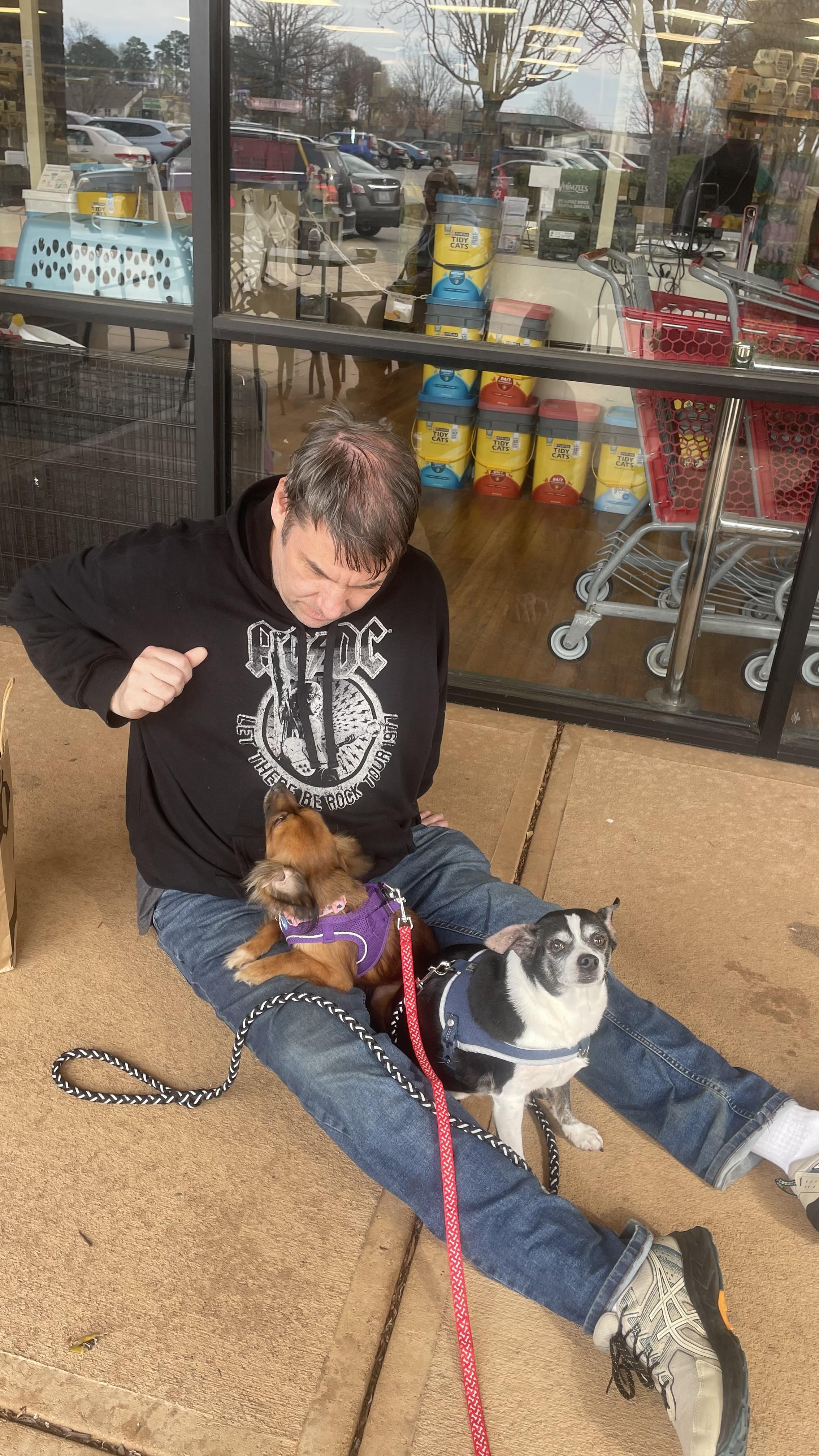 Nicholas, a Adoptable Chihuahua in Cary, NC image 3/6