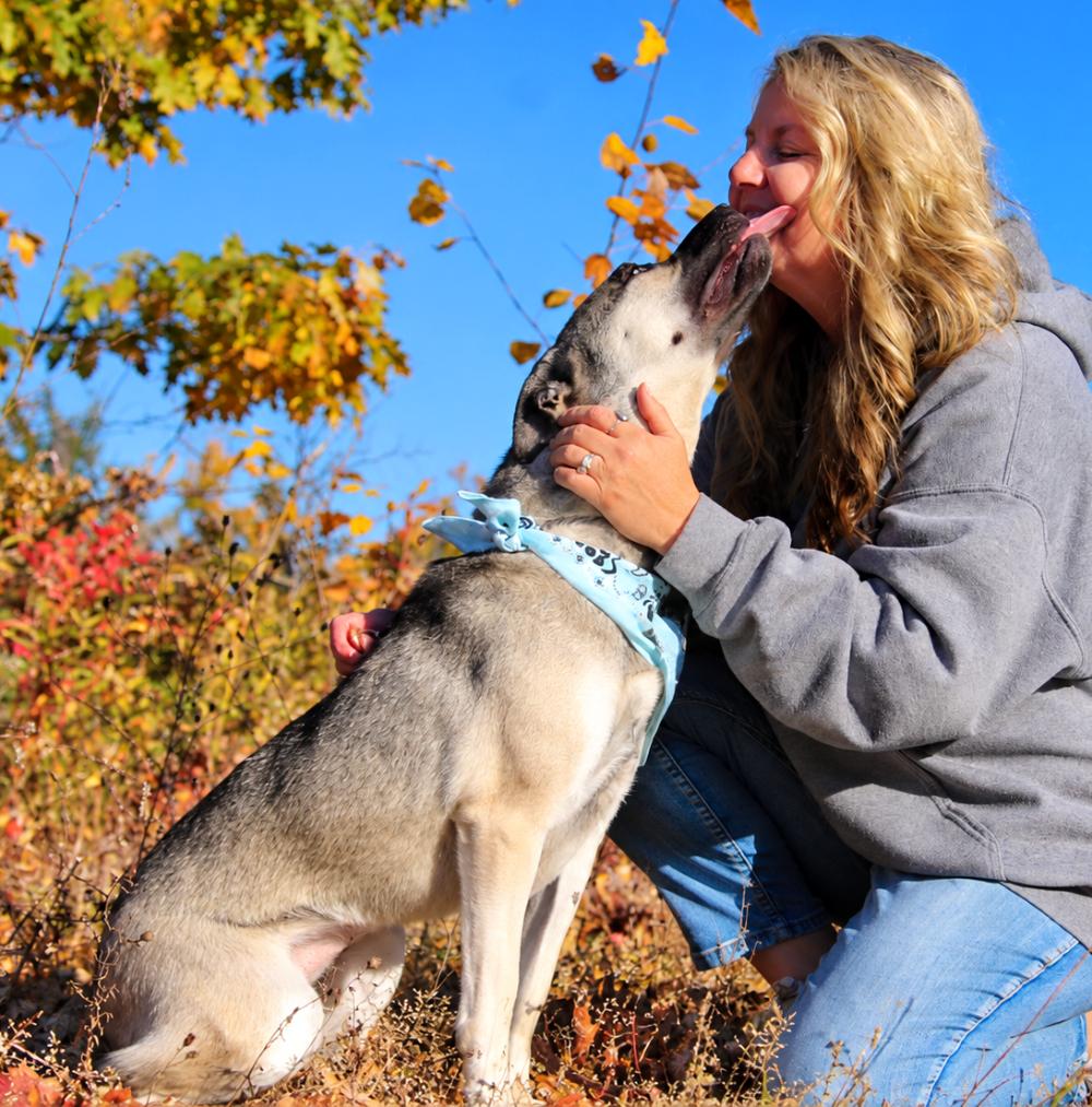 Enlarge Topanga, a Adoptable mixed breed in Cheboygan, MI image 3/6