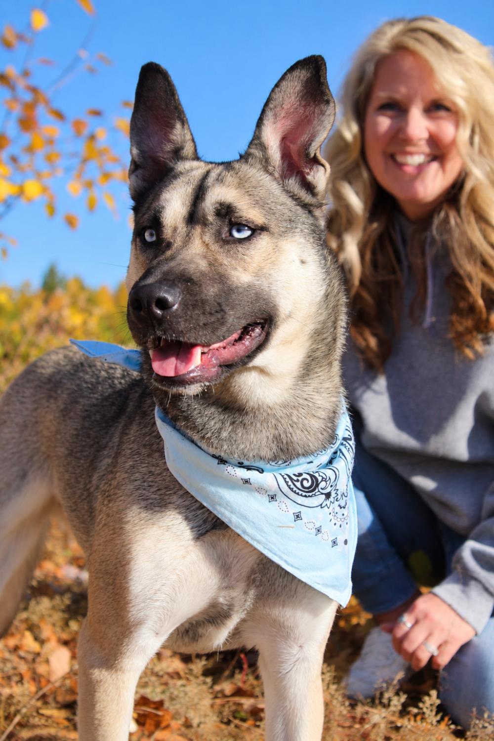 Enlarge Topanga, a Adoptable mixed breed in Cheboygan, MI image 2/6