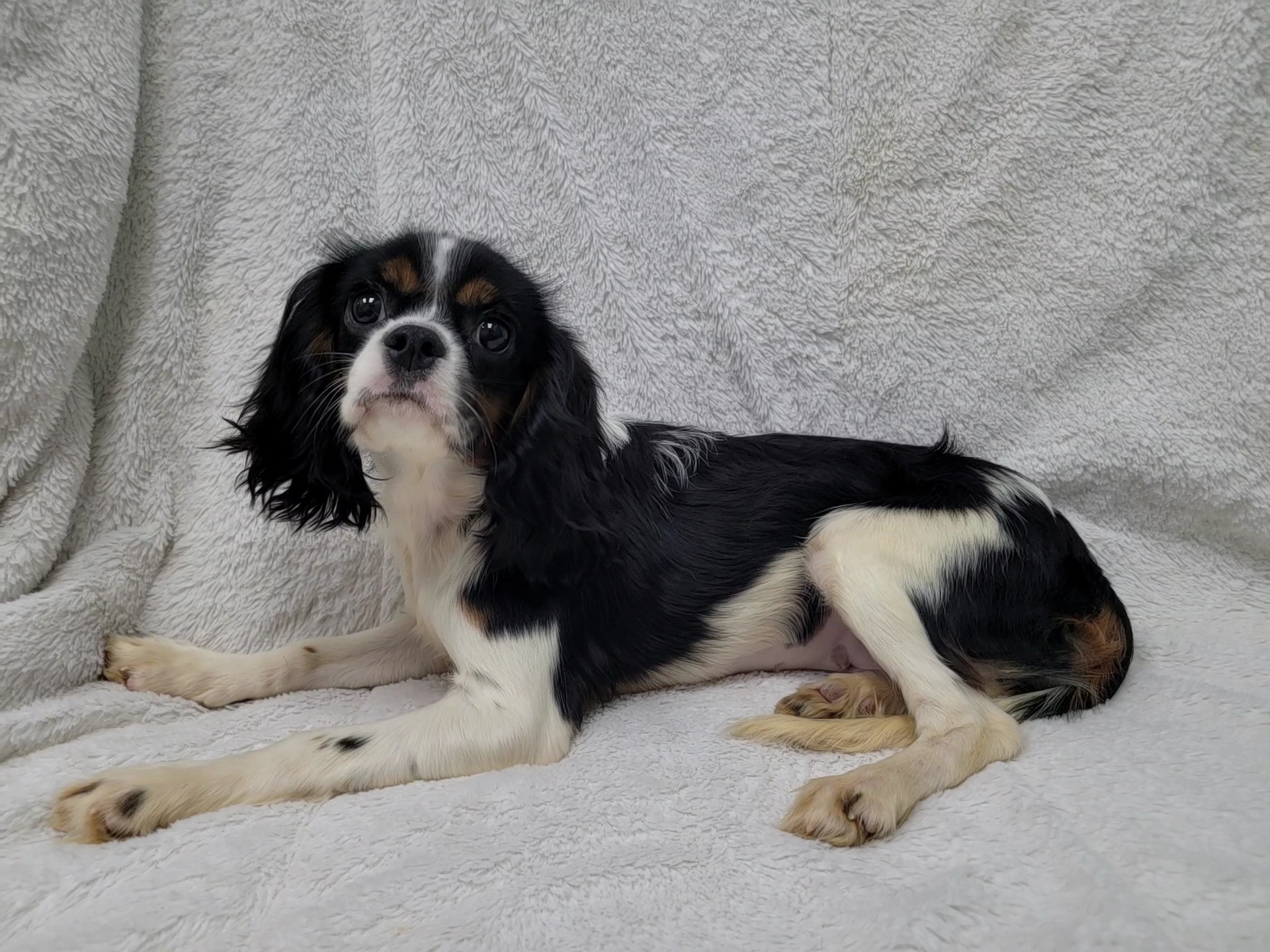 Autumn — thumbnail 2