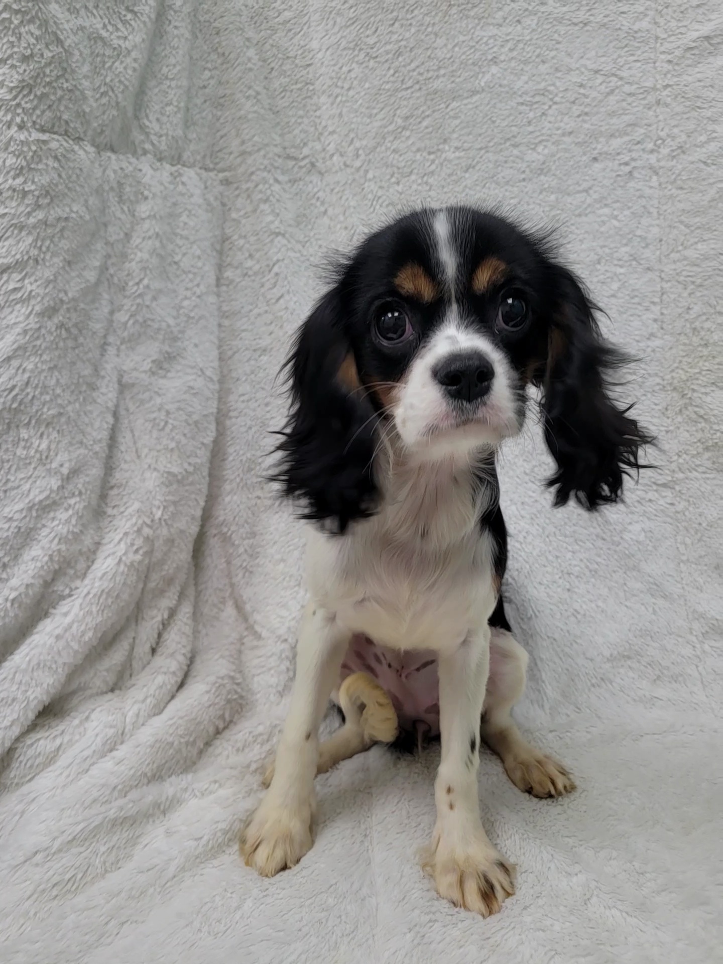 Autumn — thumbnail 3