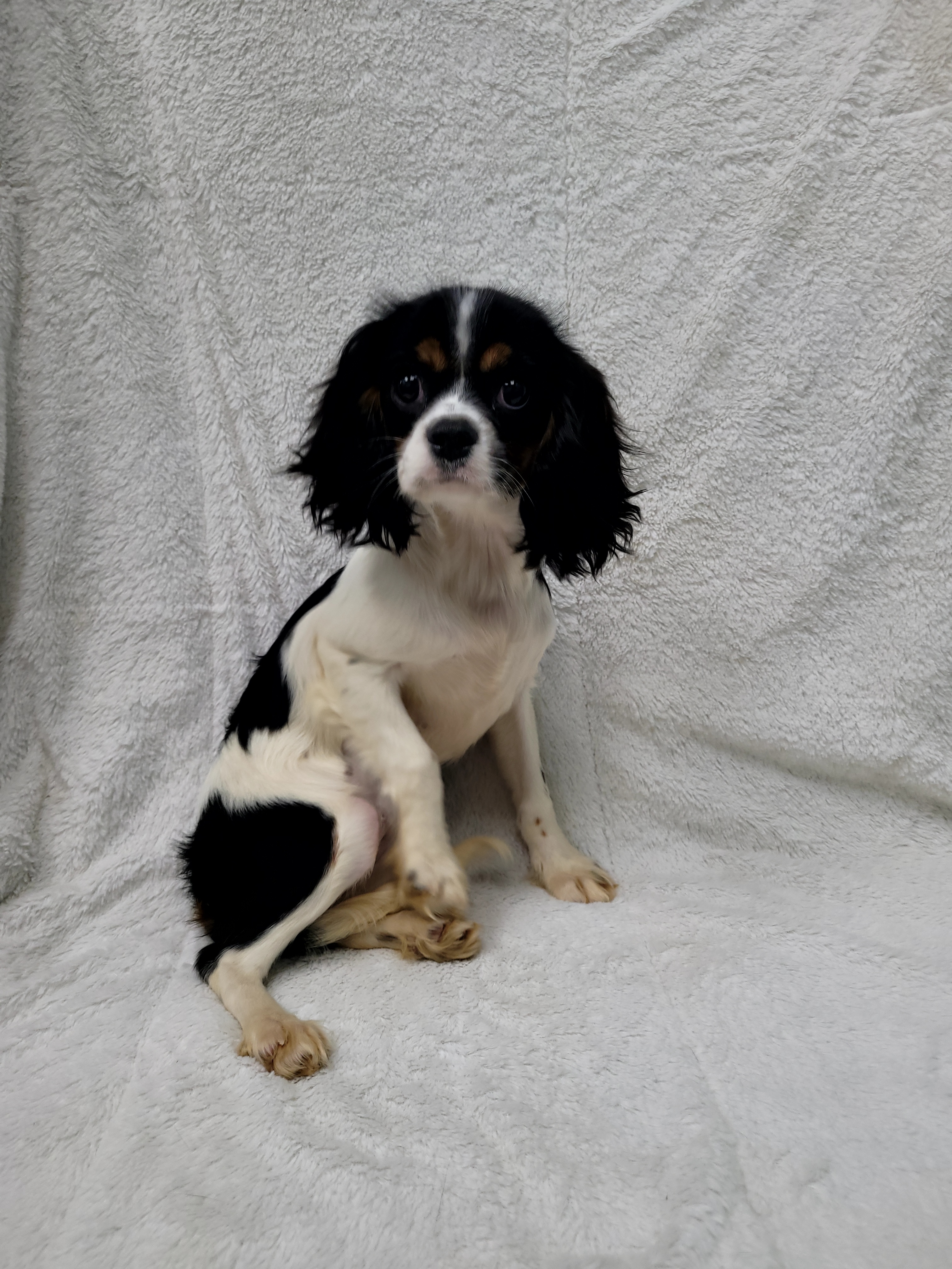 Autumn — thumbnail 4