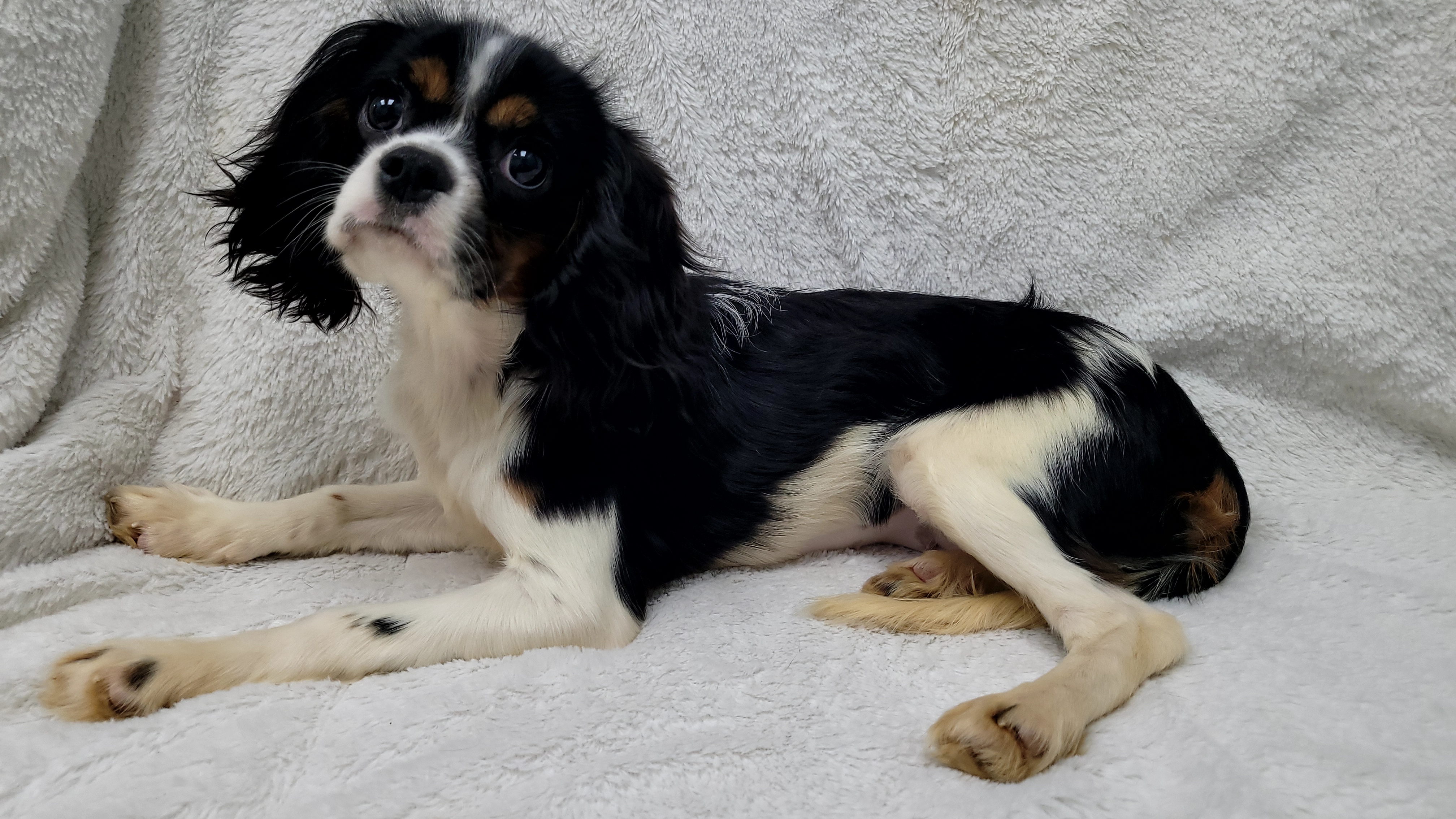 Autumn — thumbnail 5