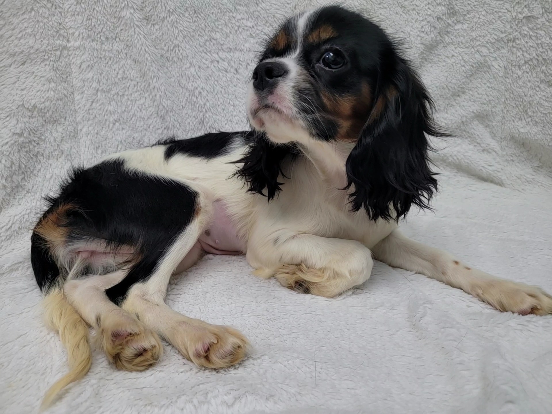 Autumn — thumbnail 6