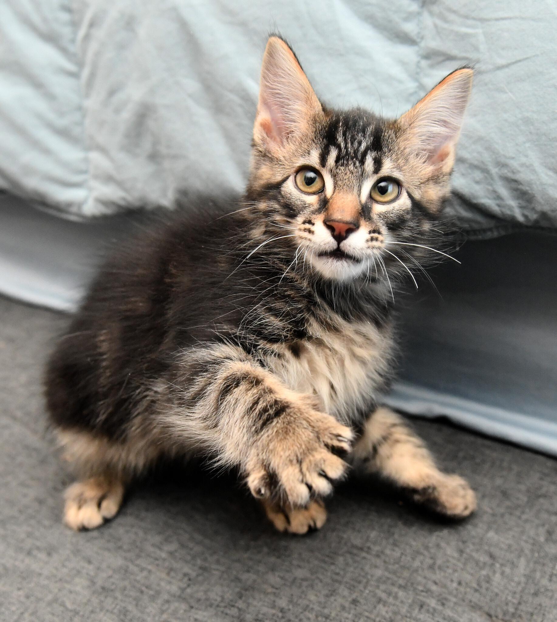 Seahawk And Mariner thumbnail 2