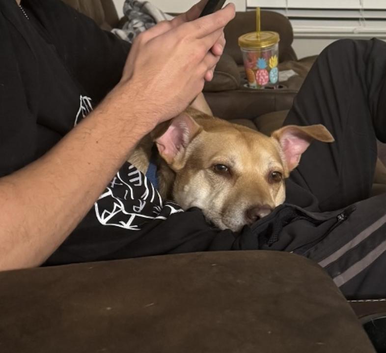 Shiloh — thumbnail 5