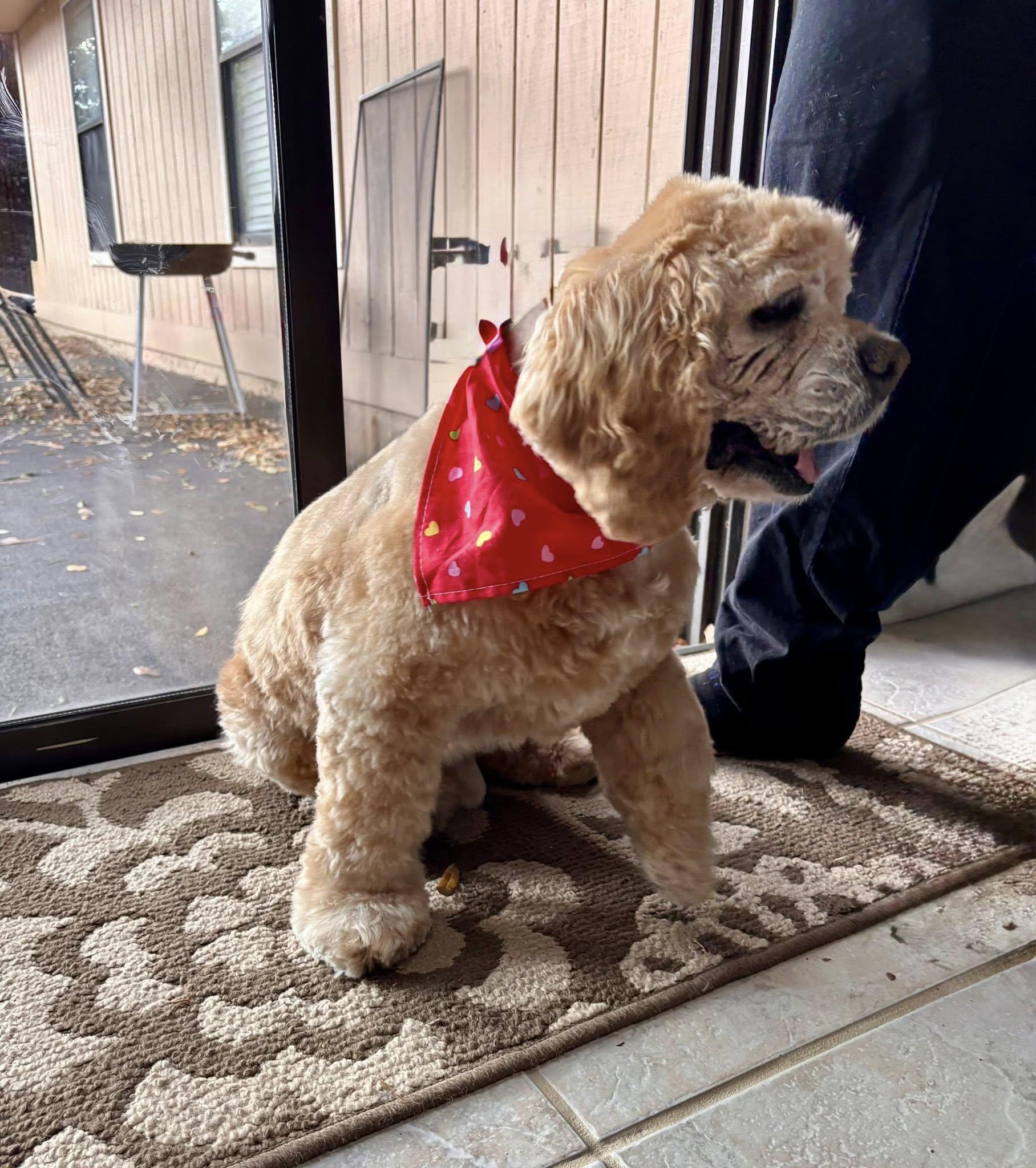 Sounder — thumbnail 2