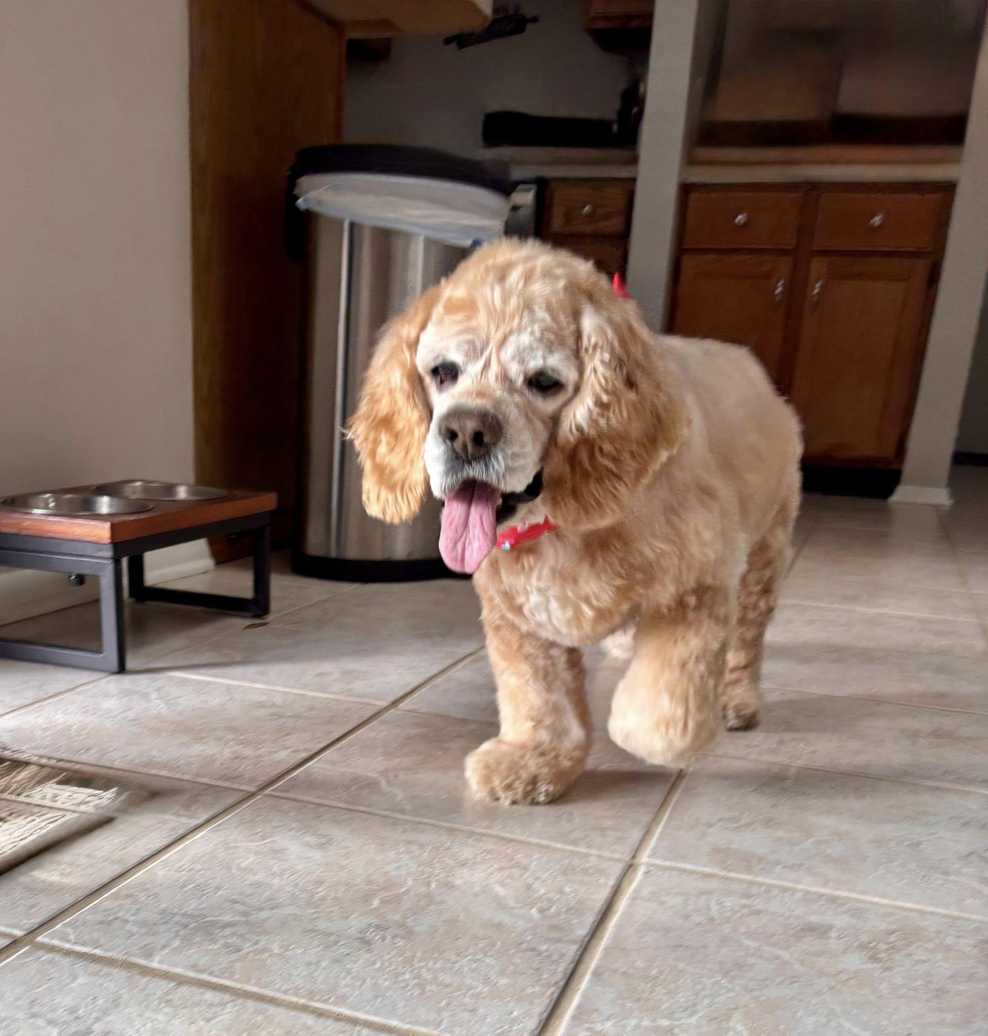 Sounder — thumbnail 3