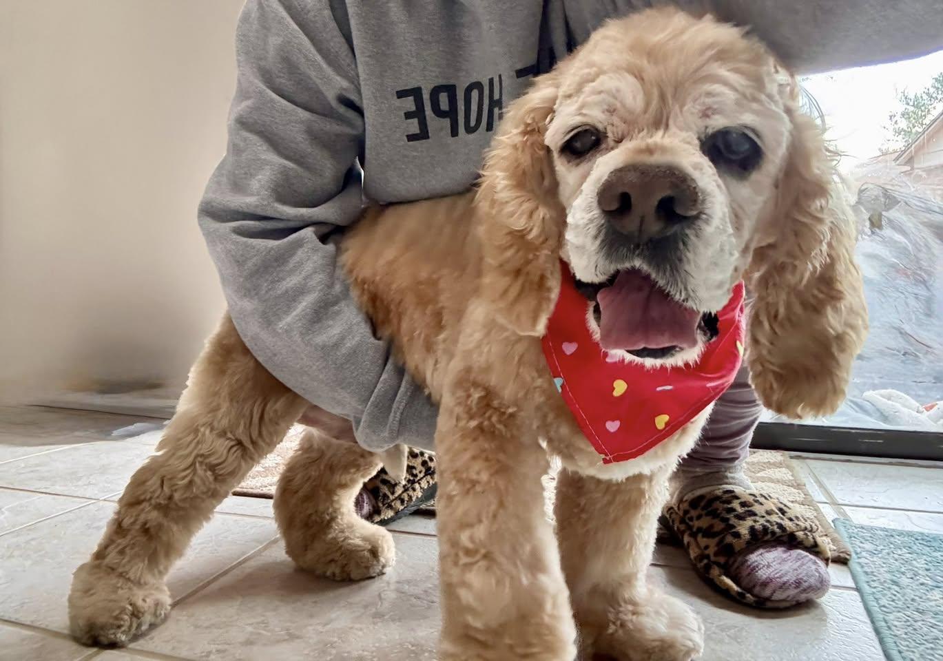 Sounder — thumbnail 6