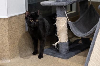 Murray — thumbnail 2