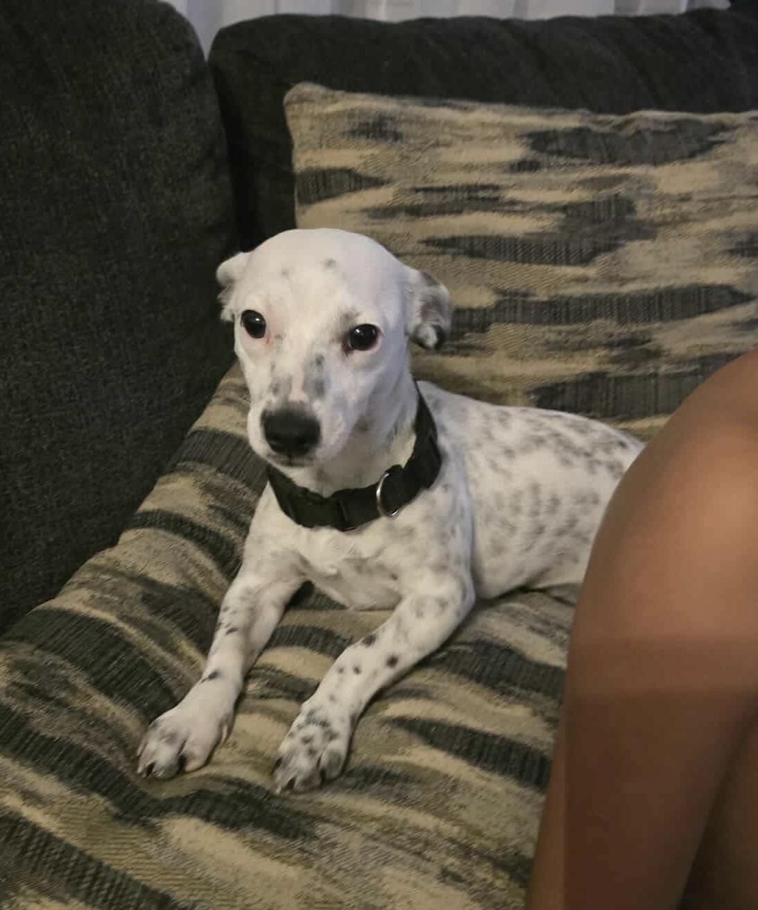 Freckles thumbnail 2