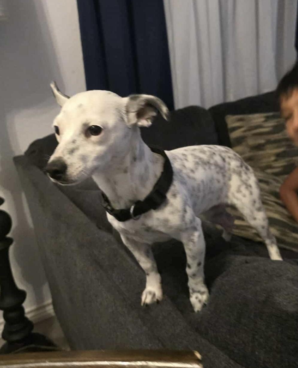 Freckles thumbnail 3