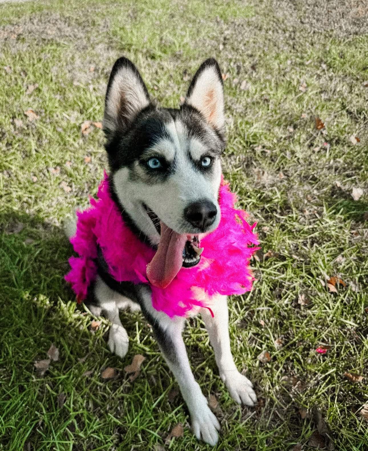 Betty Lou