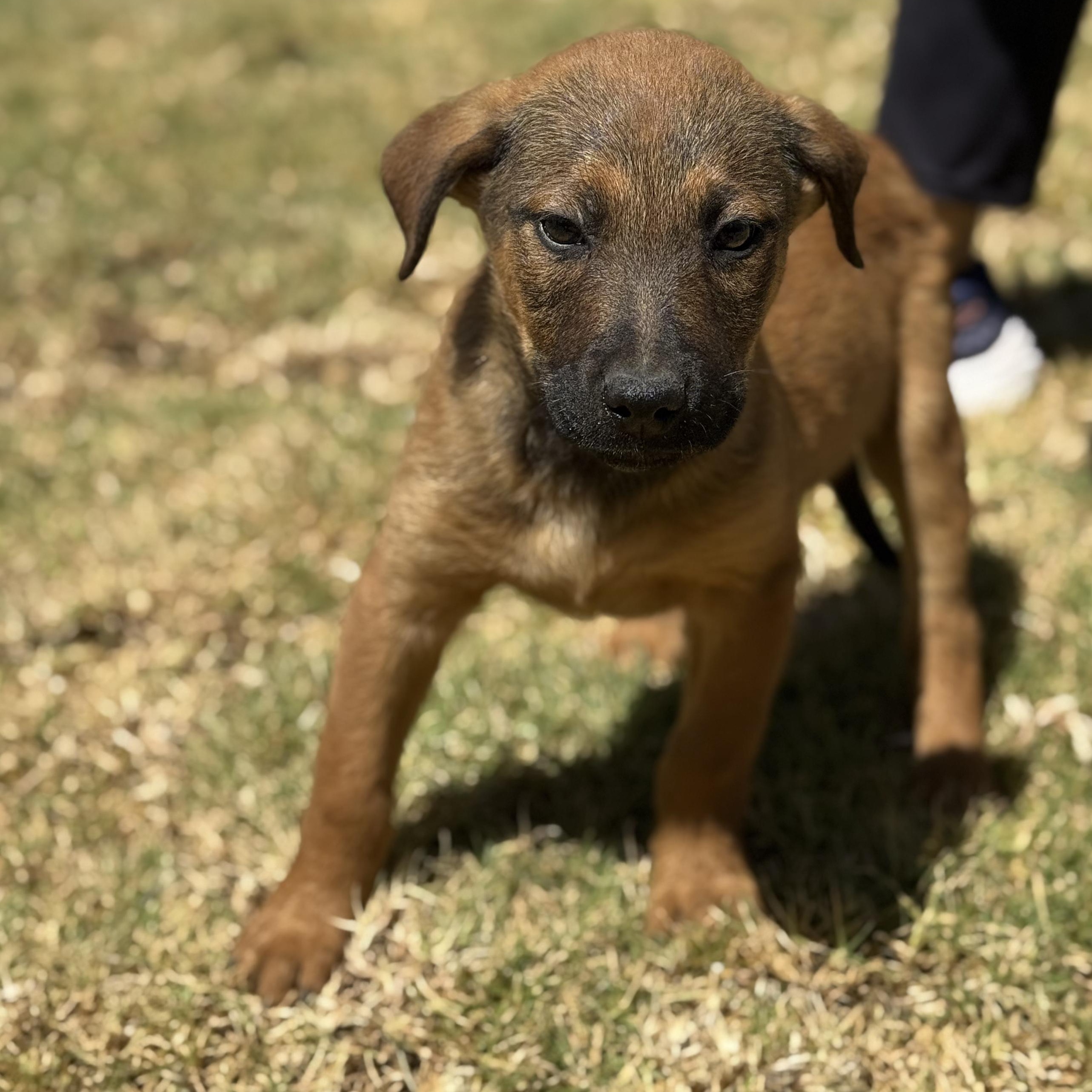 Jack — thumbnail 2