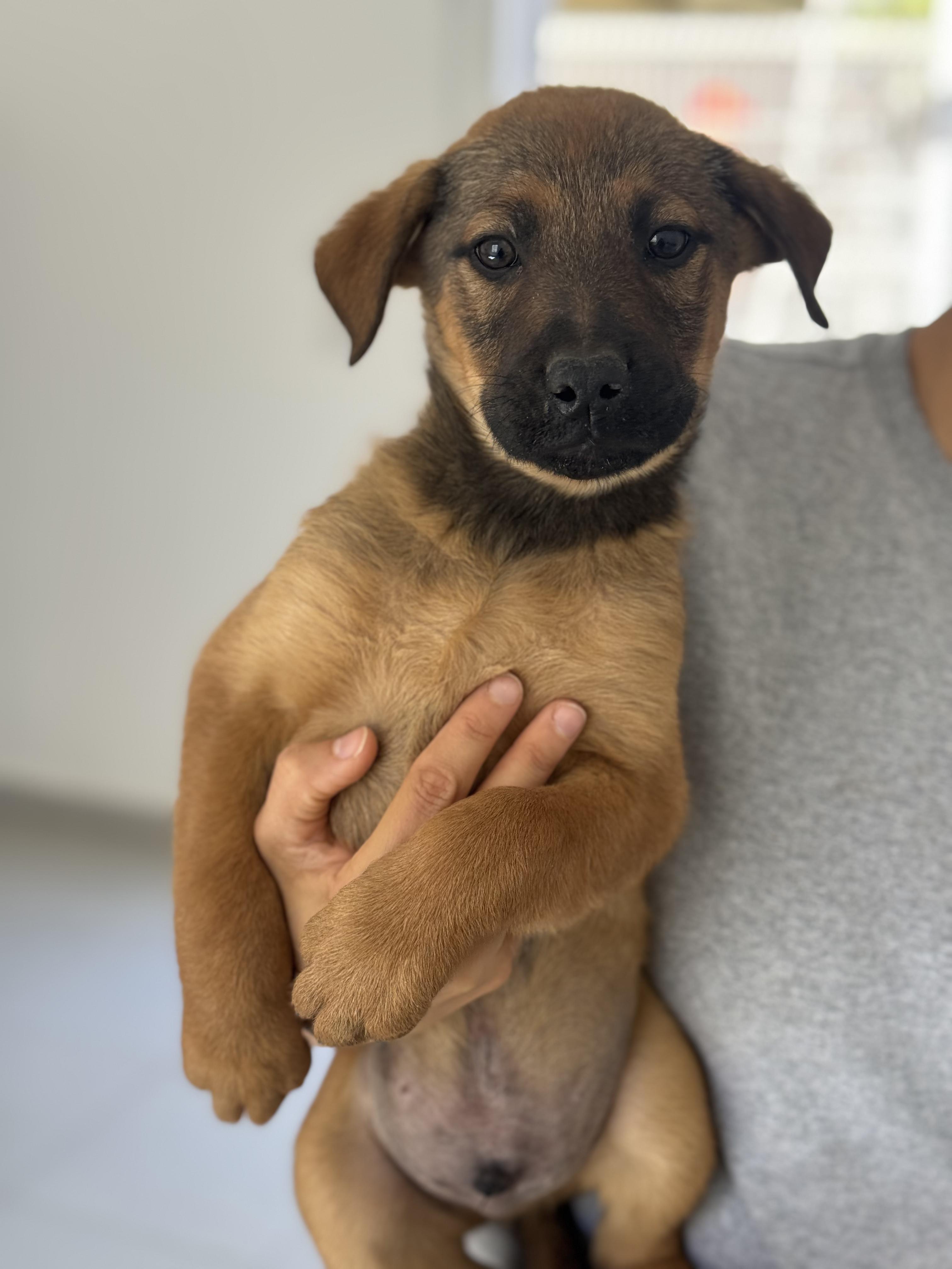 Jack — thumbnail 4