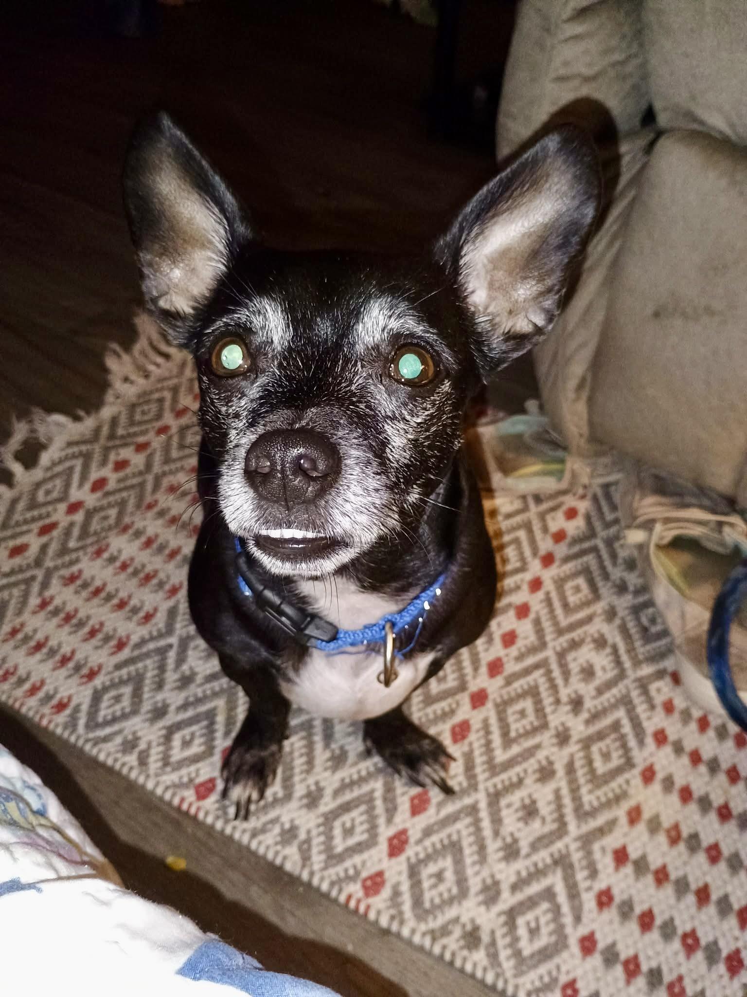 Charlie