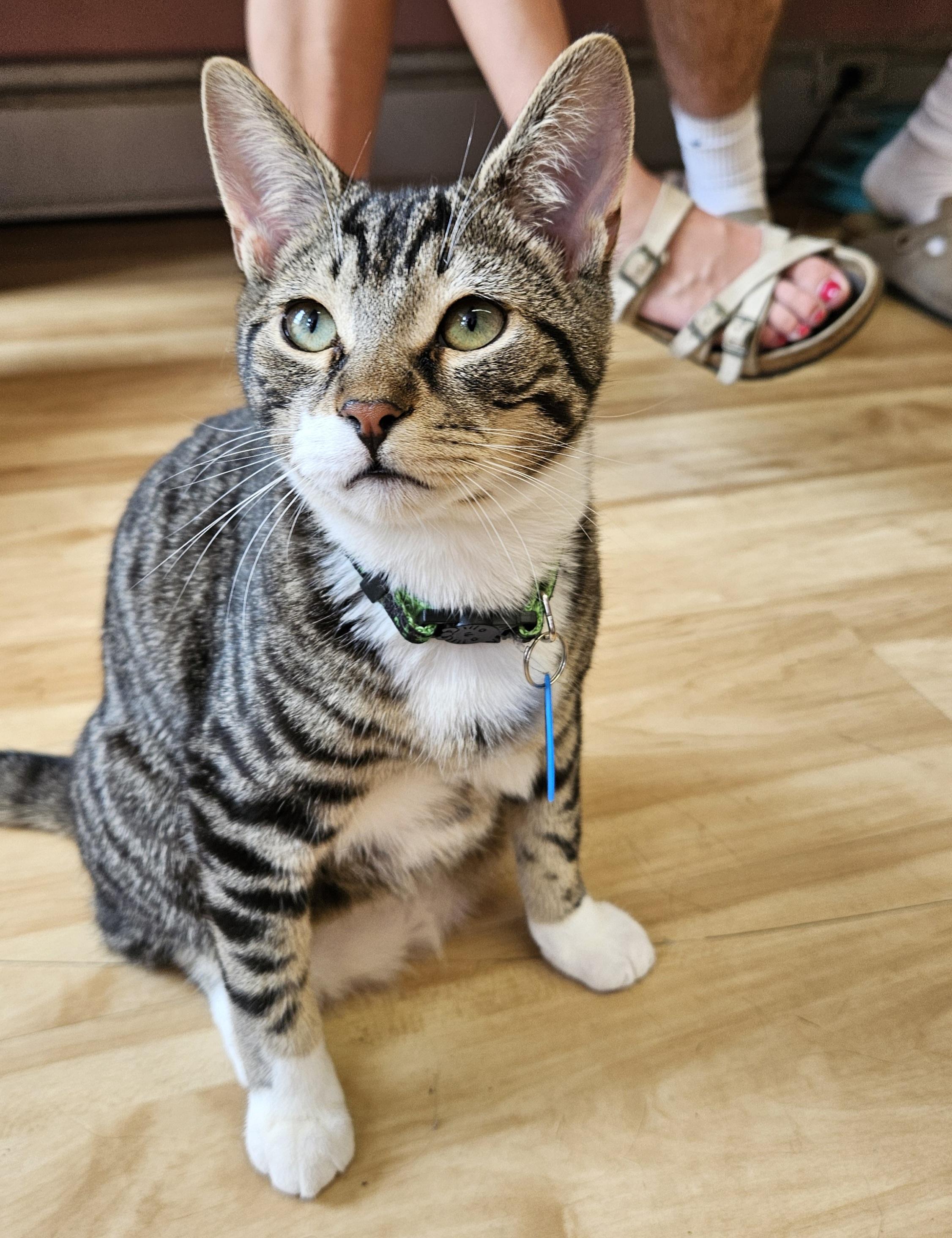 Victor