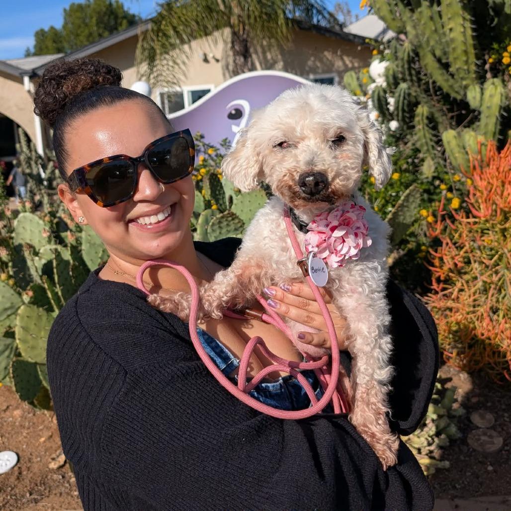 Enlarge Birtie, a Adoptable mixed breed in Ramona, CA image 1/6