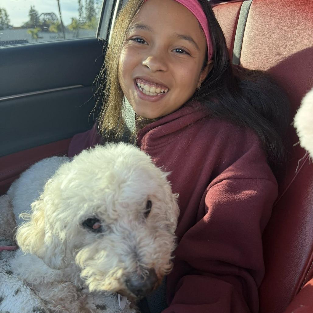 Enlarge Birtie, a Adoptable mixed breed in Ramona, CA image 2/6