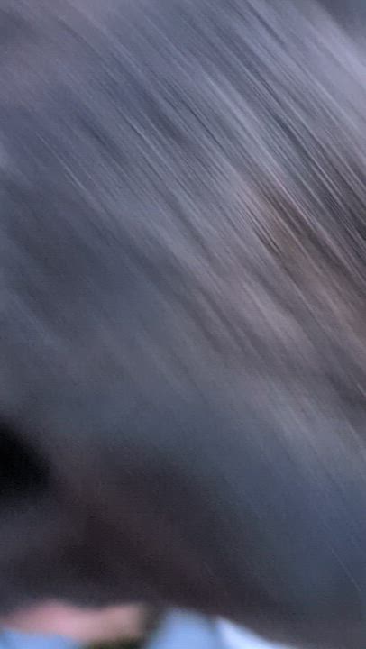 Enlarge Luna, a Adoptable mixed breed in MORONI, UT video 3/5