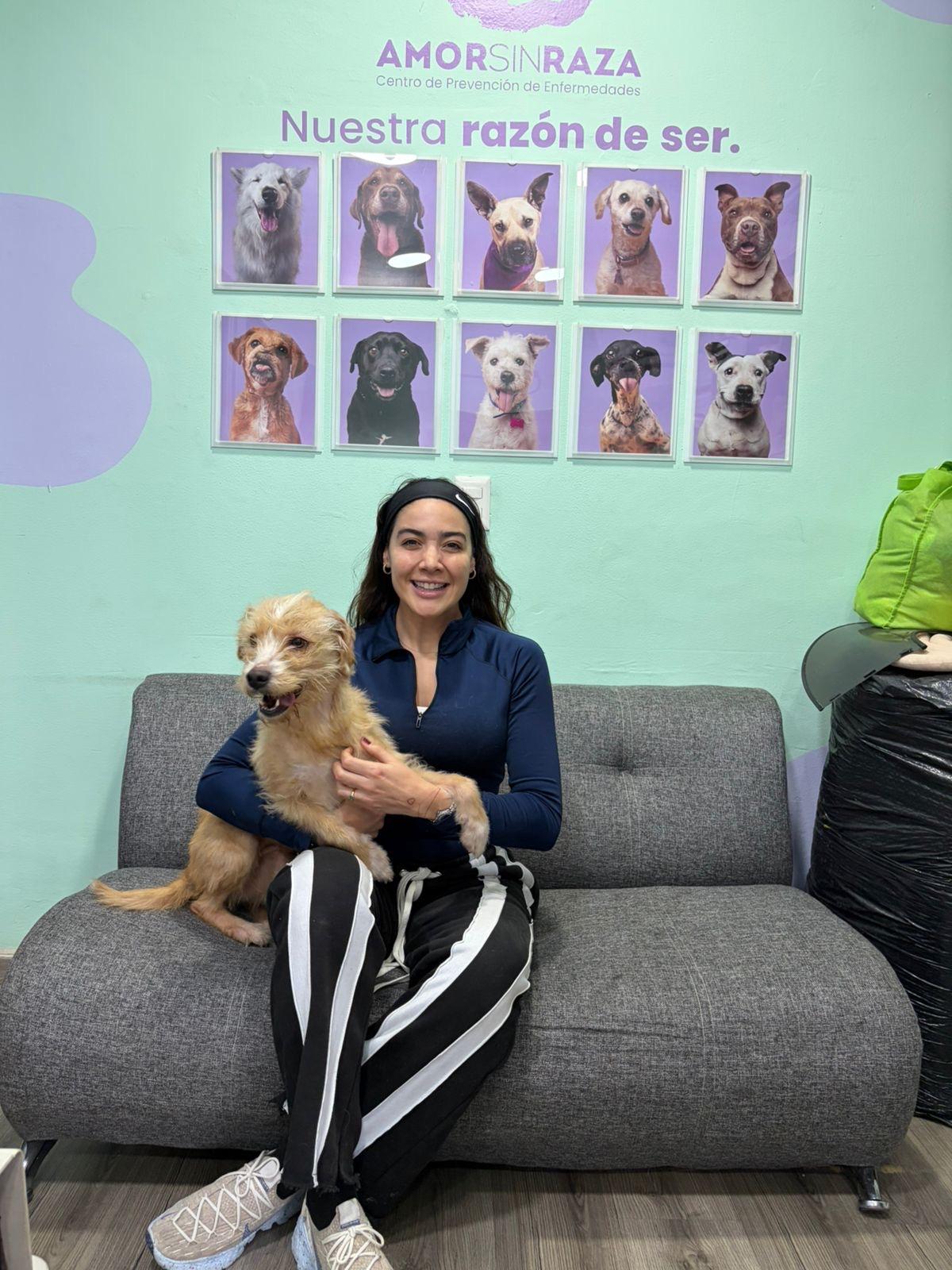 Enlarge Chalupa, an adoptable mixed breed in Hilton, NY image 3/4