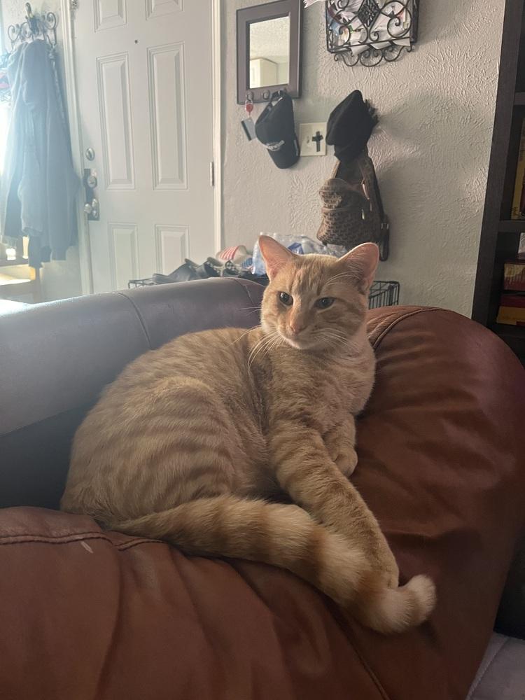 Marlowe — thumbnail 2