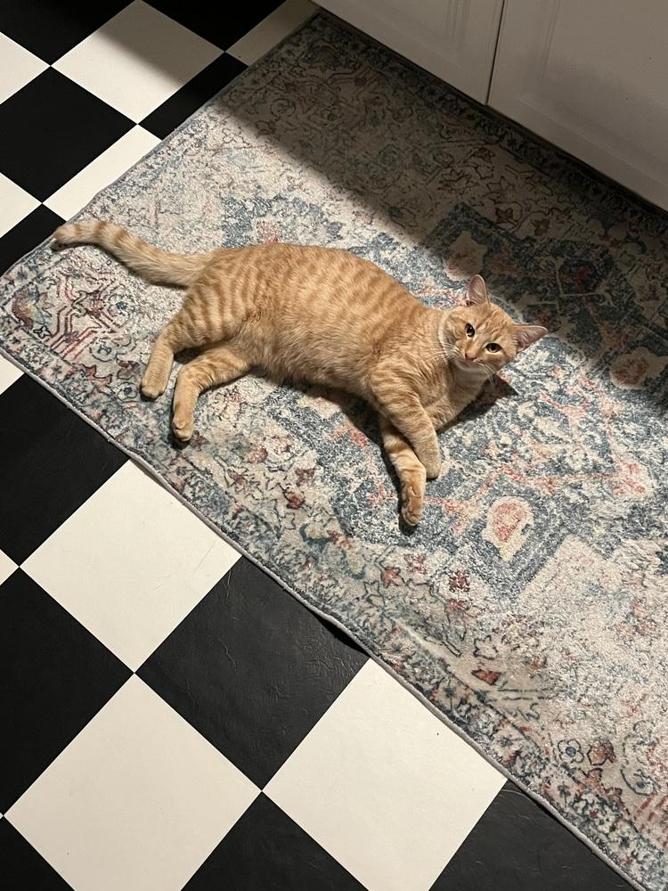 Marlowe — thumbnail 3