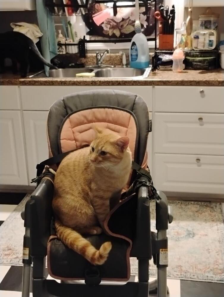 Marlowe — thumbnail 6