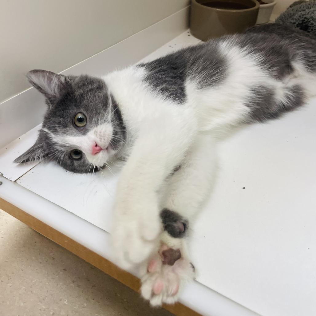 Tiny Tim — thumbnail 2