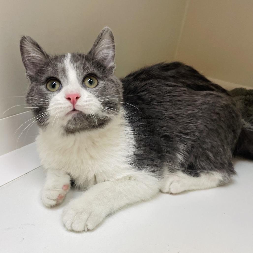 Tiny Tim — thumbnail 3