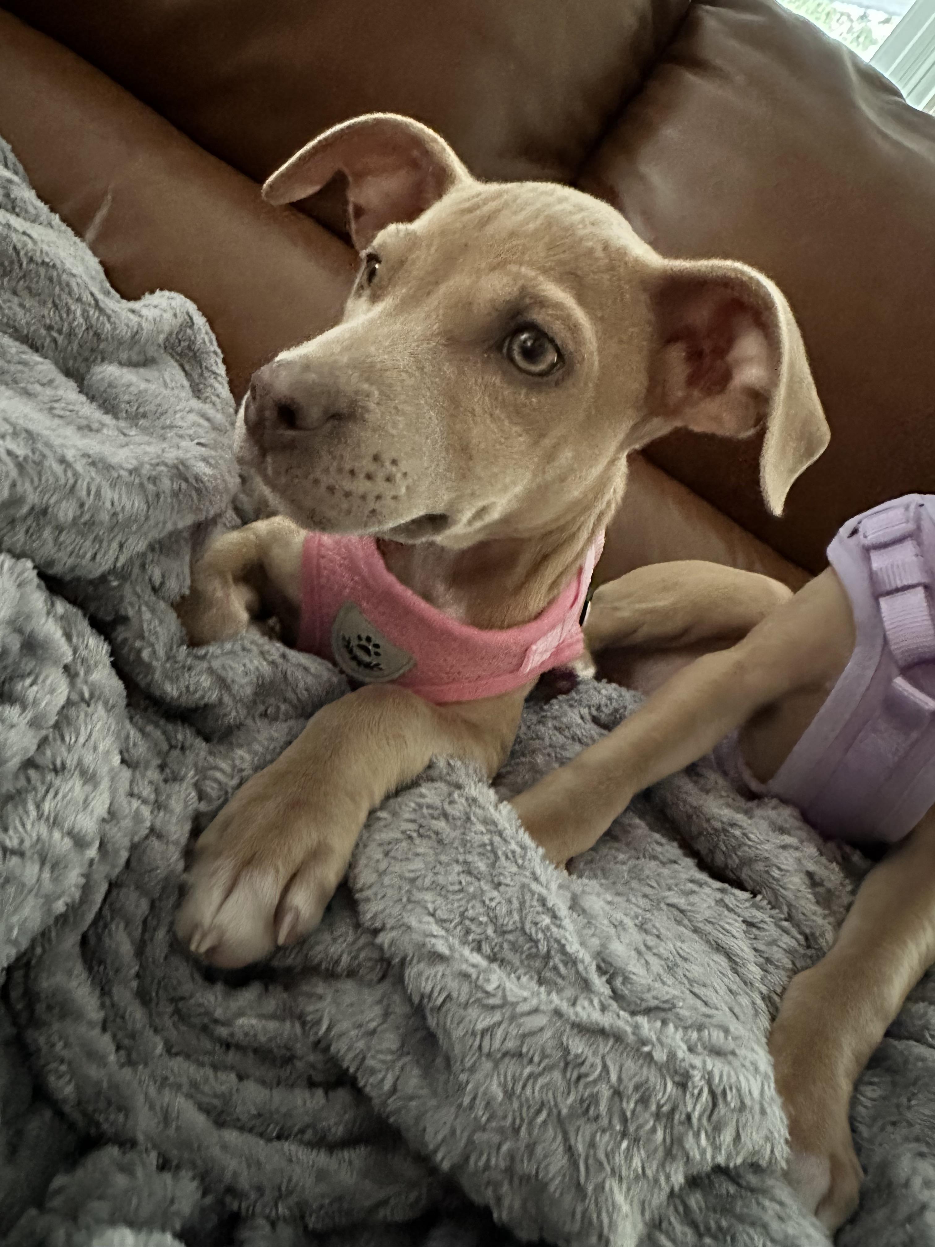 Branch (Not on-Site)