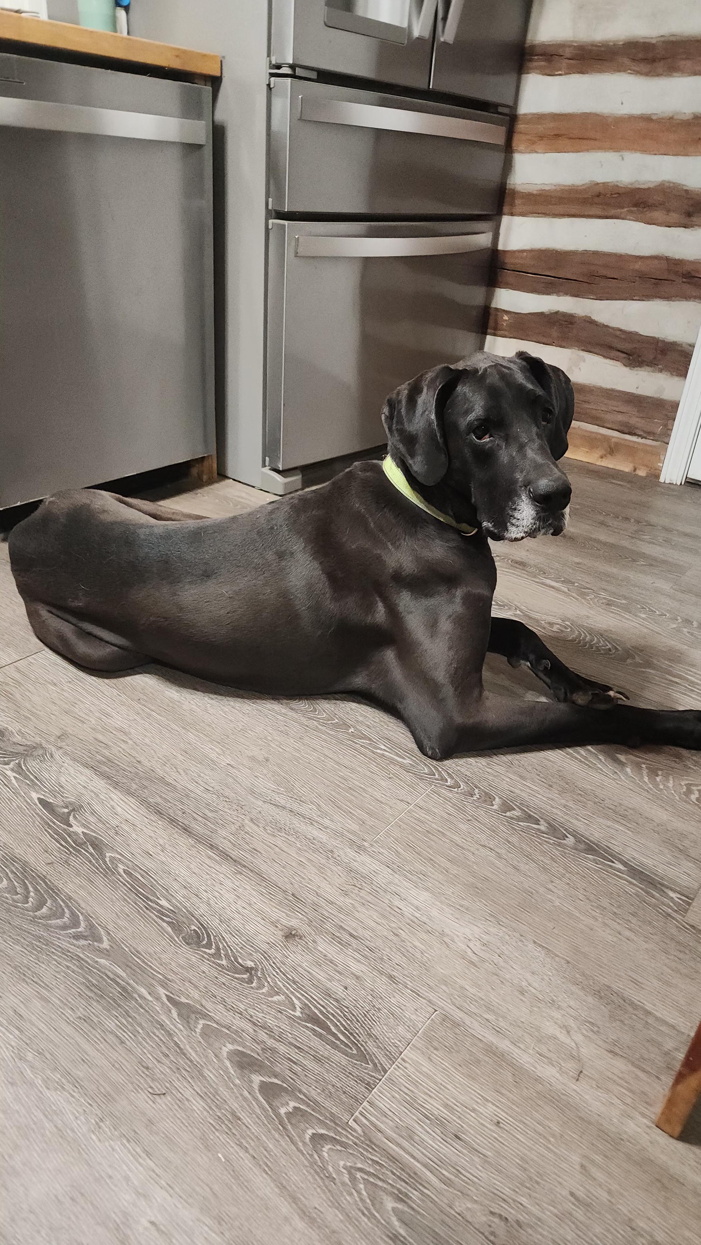 Waylon