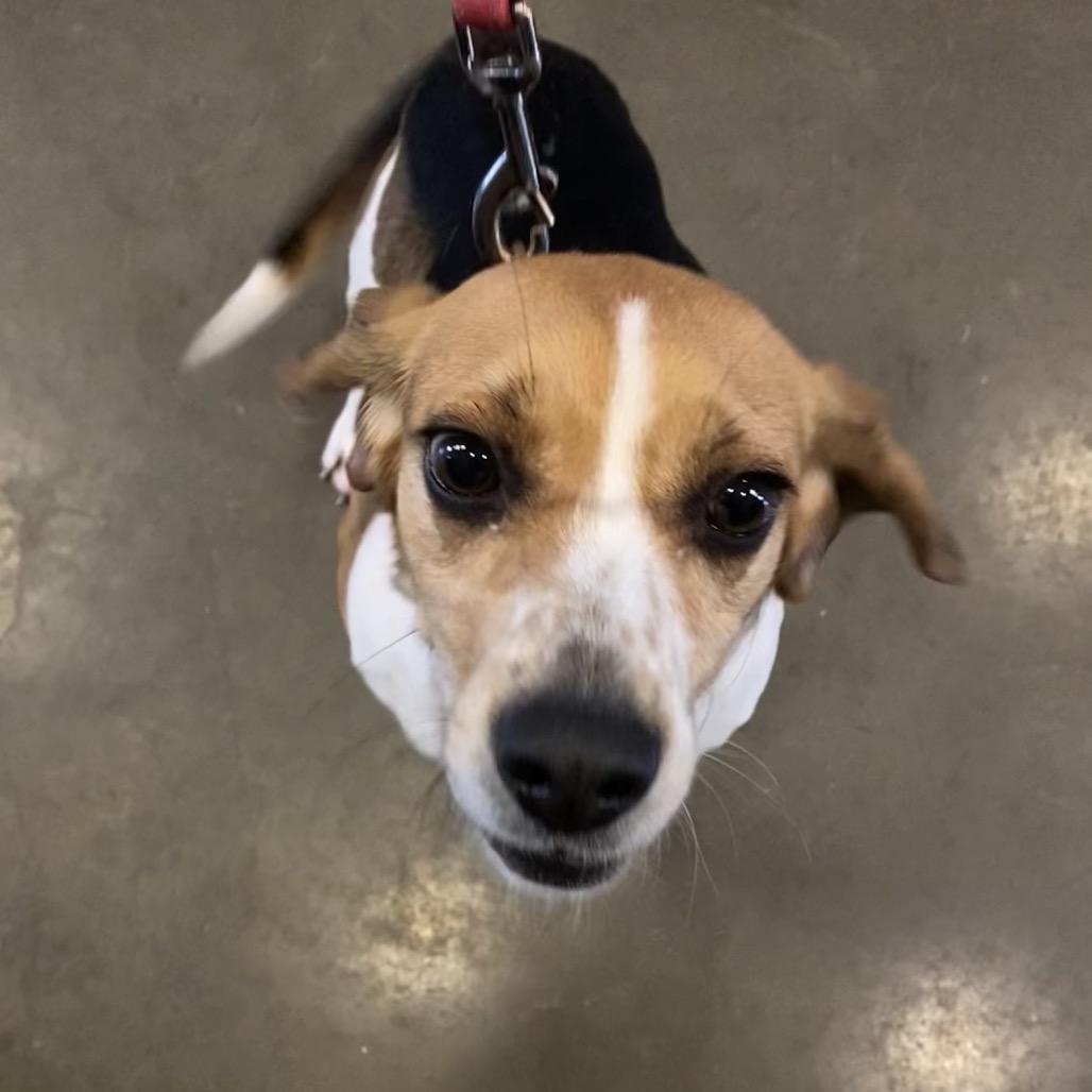 Tilly — thumbnail 2