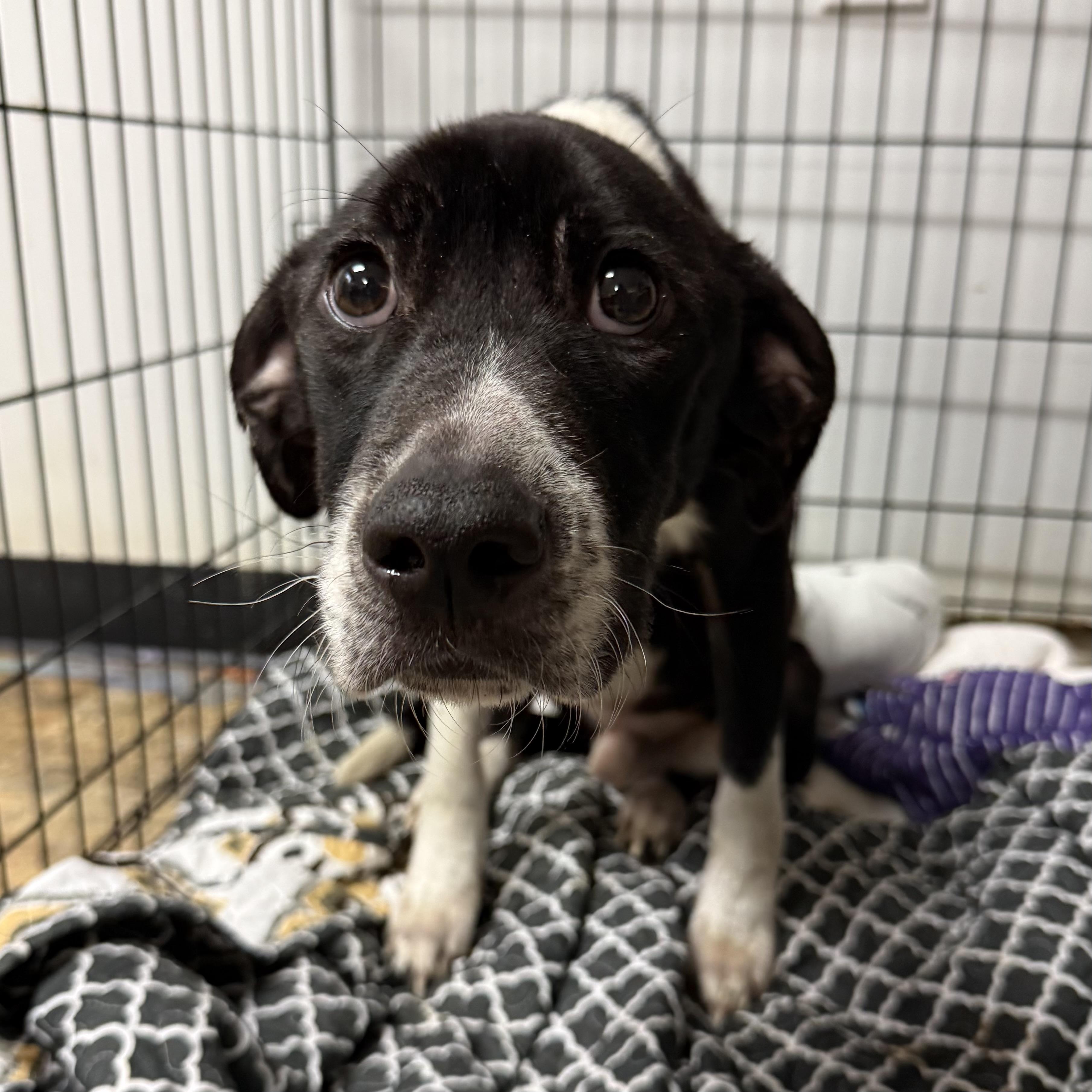 Johnny — thumbnail 2