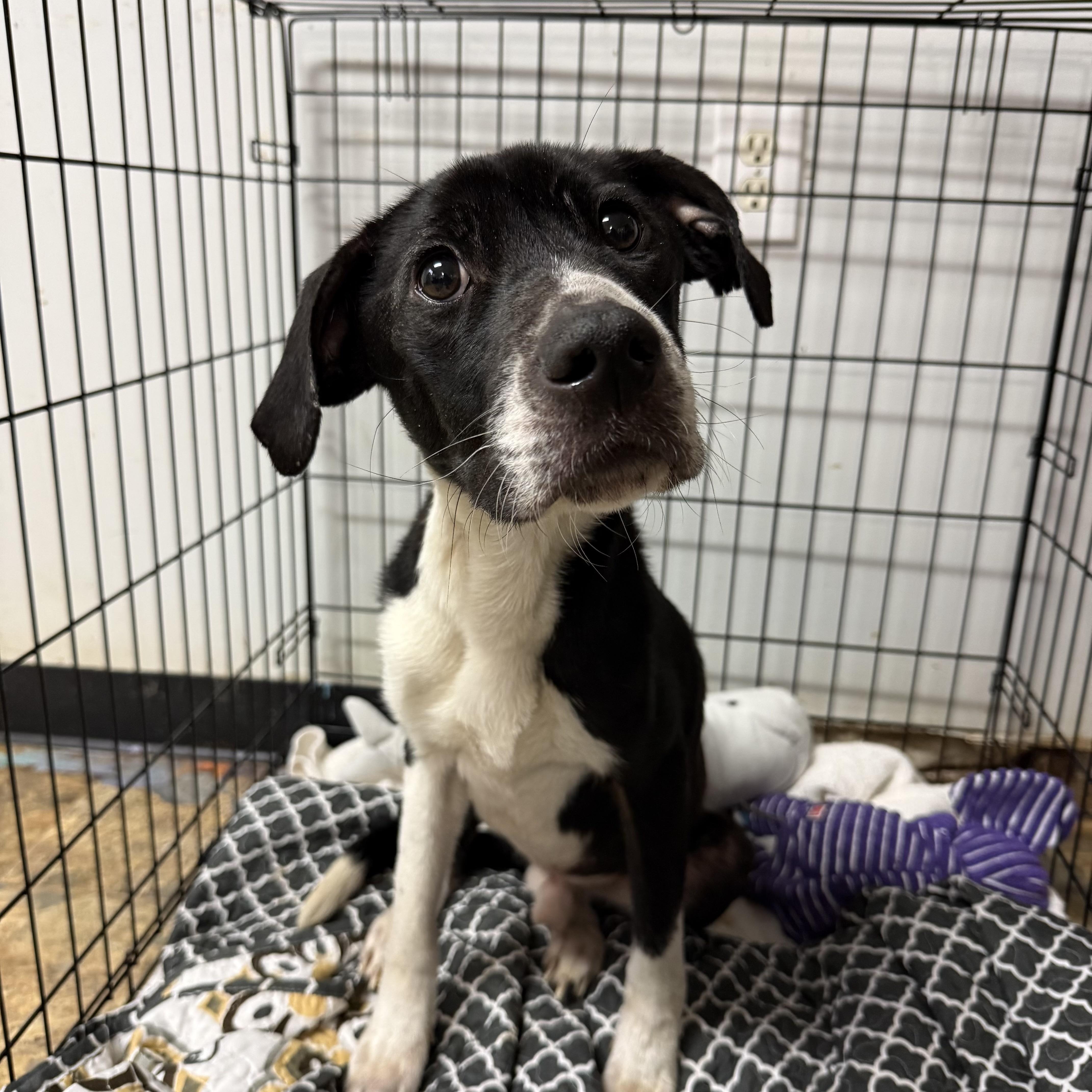 Johnny — thumbnail 5