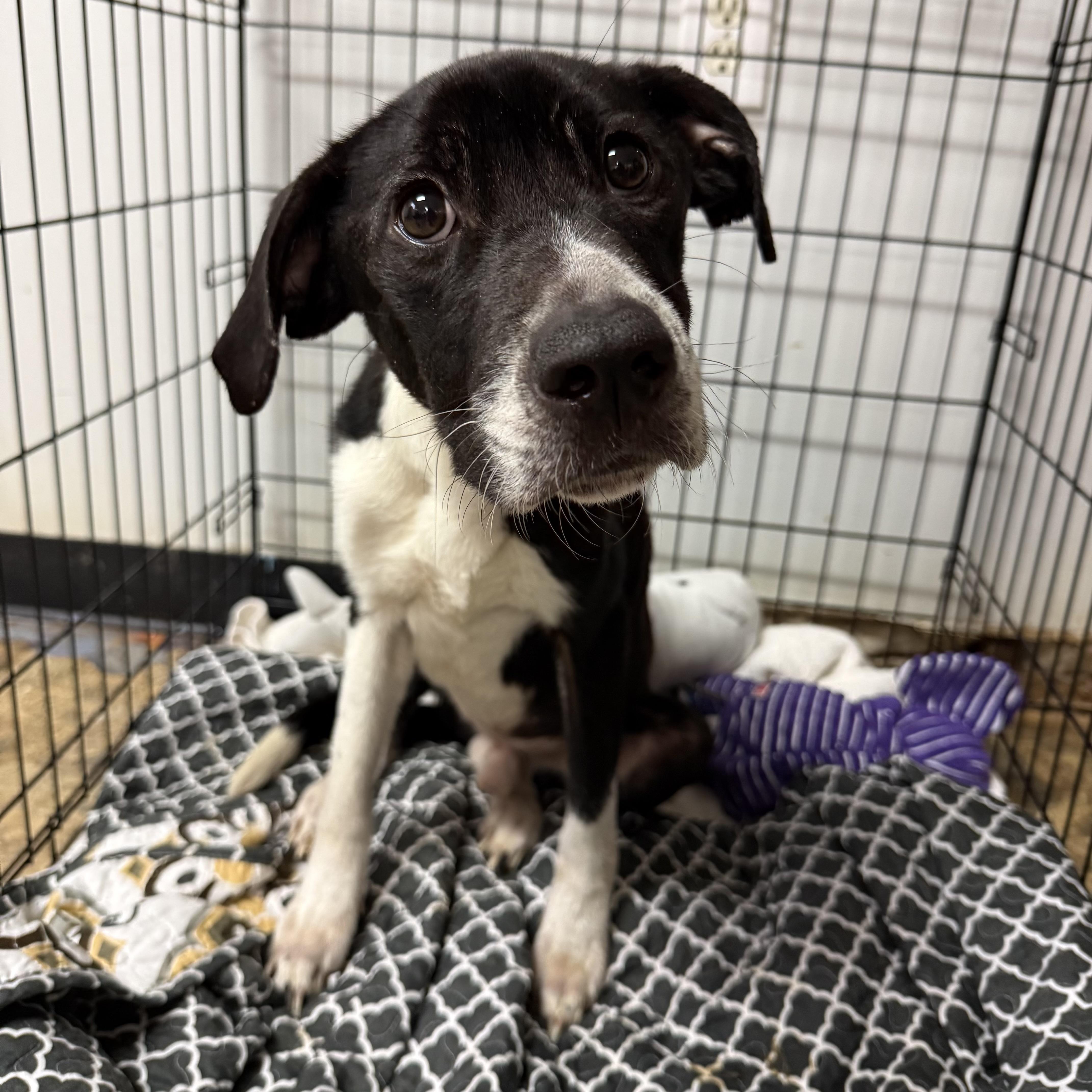 Johnny — thumbnail 6