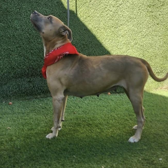 Charlene — thumbnail 5