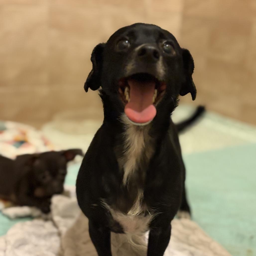 Galaxy — thumbnail 2