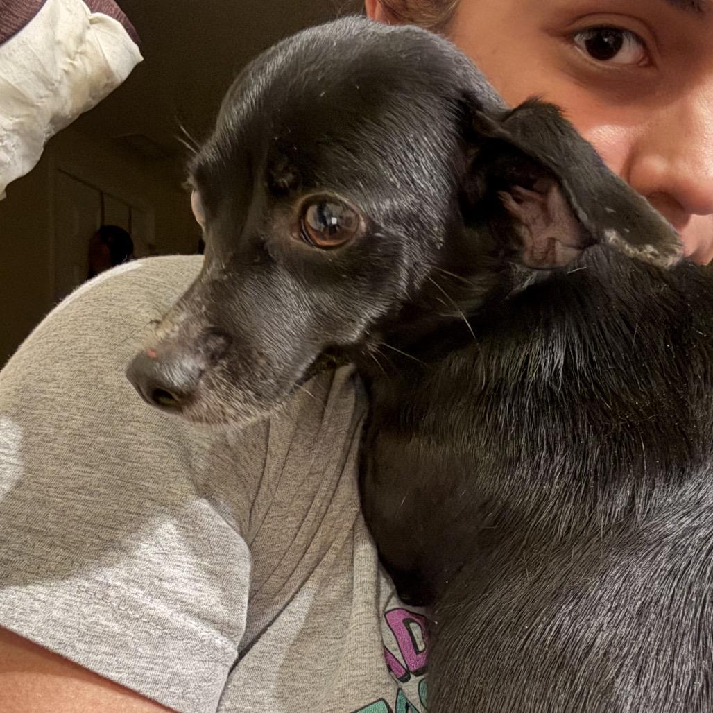 Galaxy — thumbnail 3