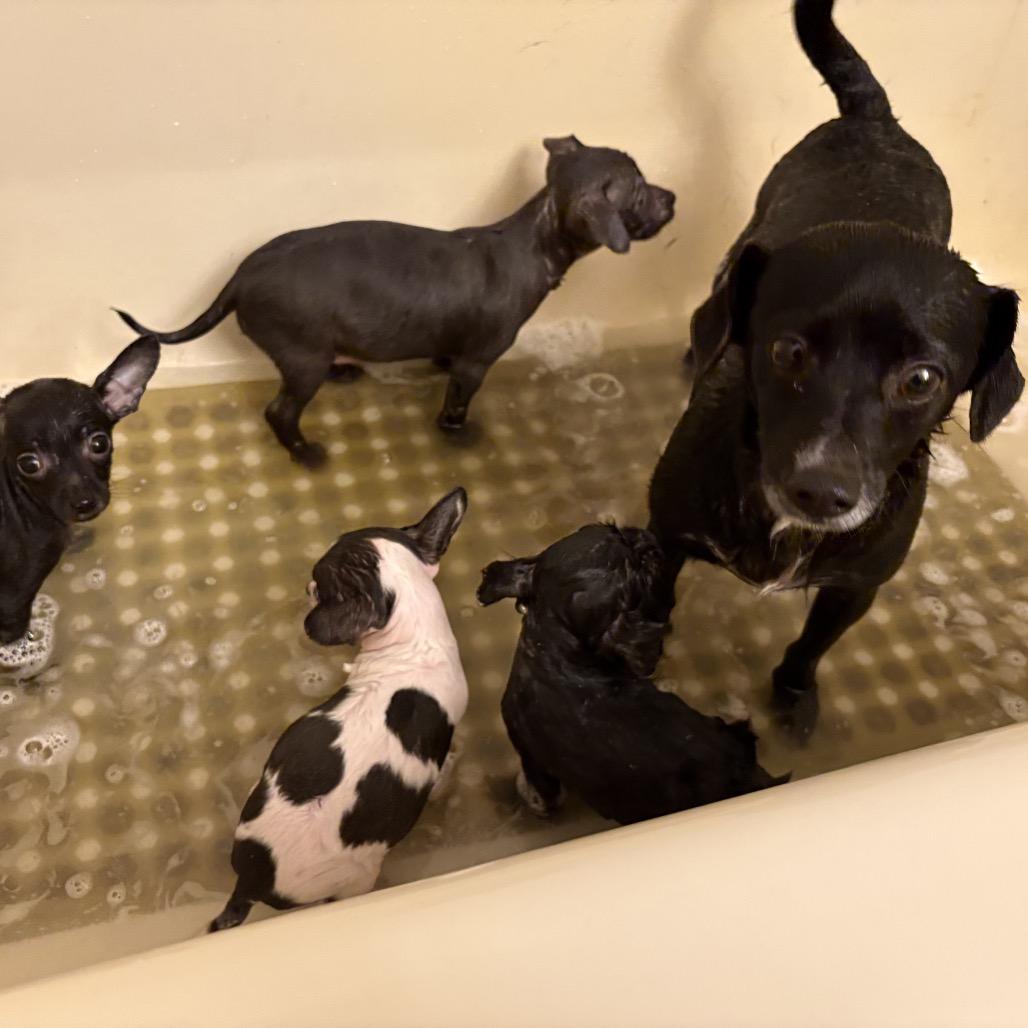 Galaxy — thumbnail 5