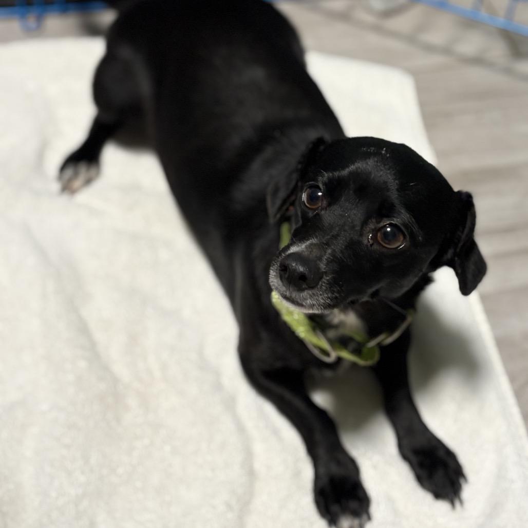 Galaxy — thumbnail 6